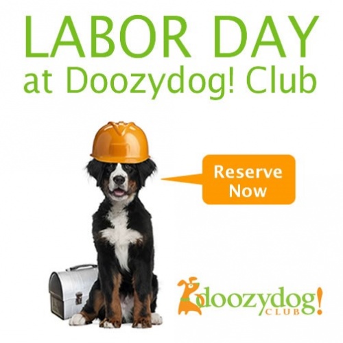 Reserve Now For Labor Day